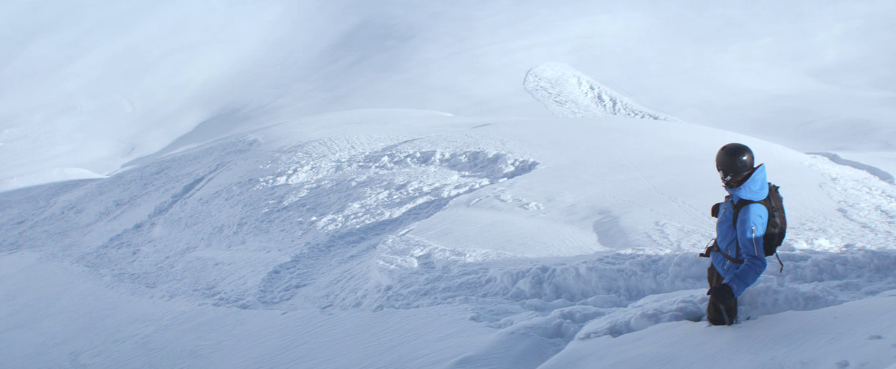 FORCE MAJEURE (2014)