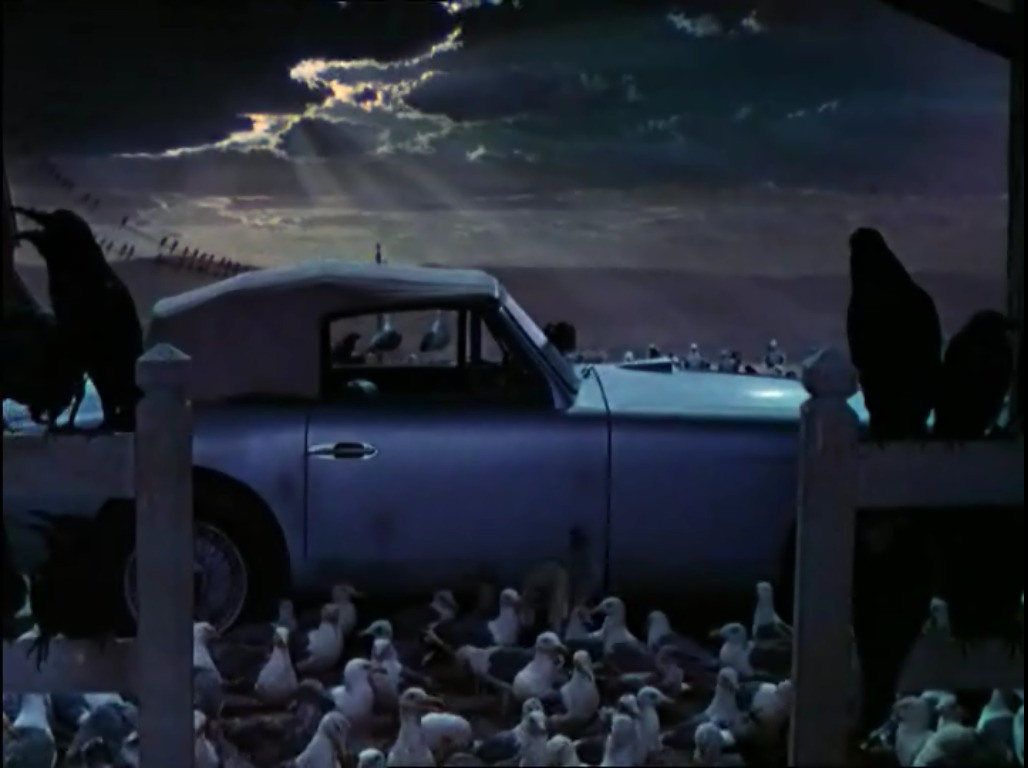 THE BIRDS (1963)