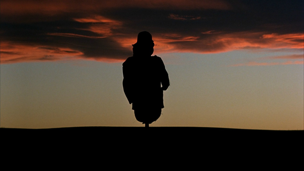 DAYS OF HEAVEN (1978)
