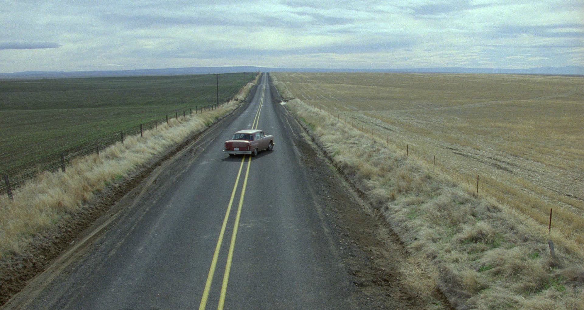 MY OWN PRIVATE IDAHO (1991)