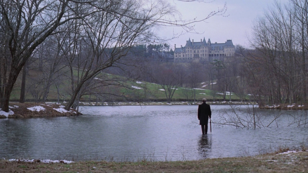 BEING THERE (1979)