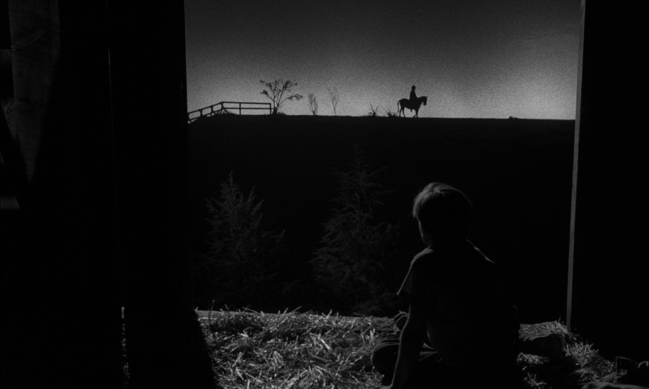 THE NIGHT OF THE HUNTER (1955)