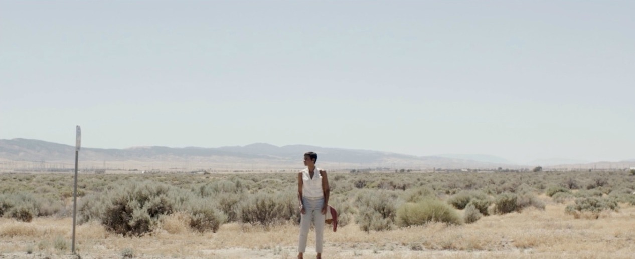 MIDDLE OF NOWHERE (2012)