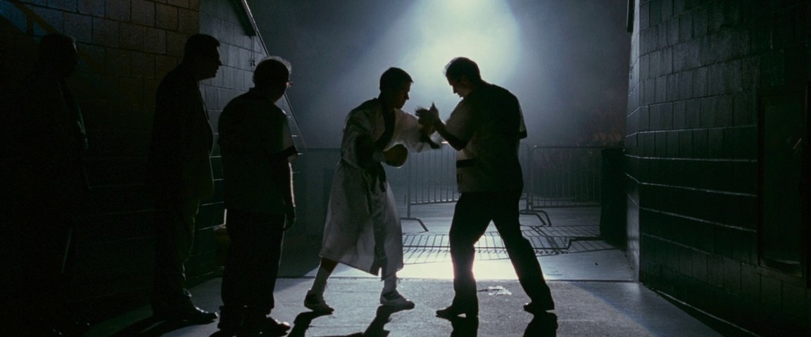 THE FIGHTER (2010)