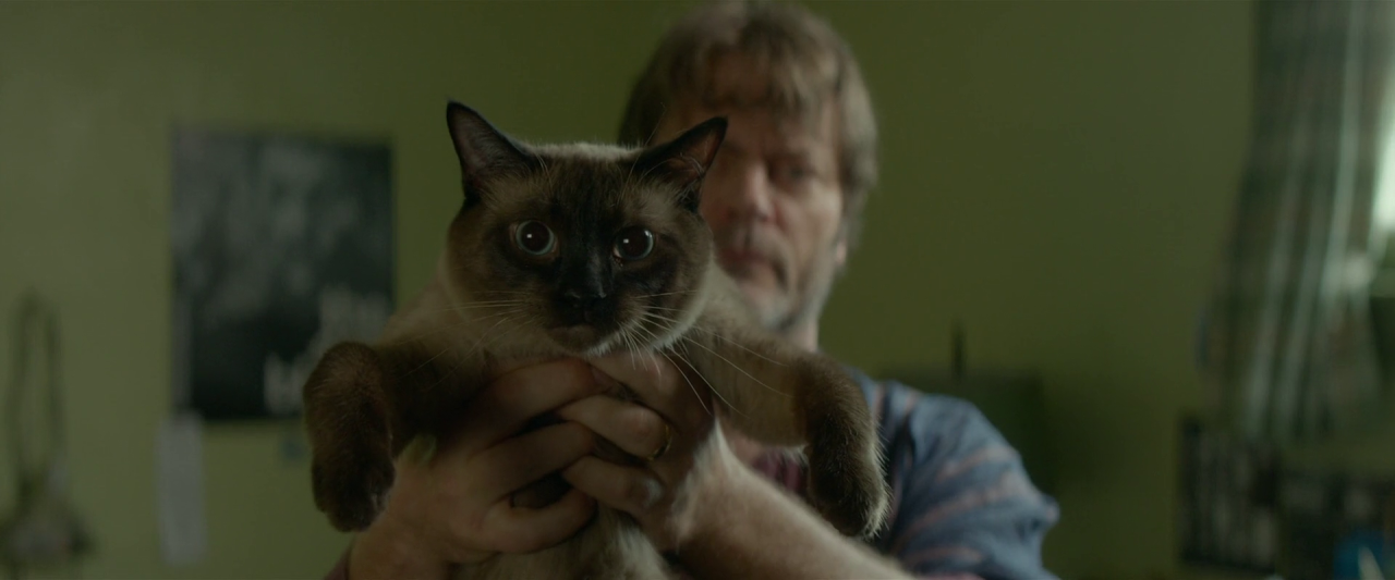 ME AND EARL AND THE DYING GIRL (2015)